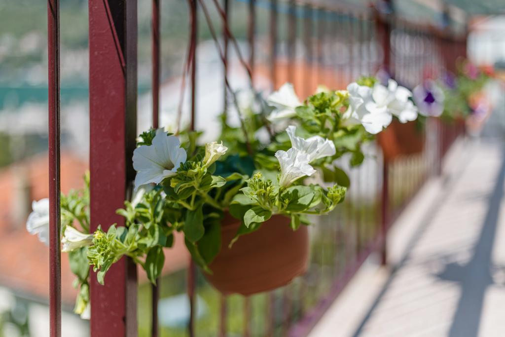 Apartments Feniks Котор Екстериор снимка